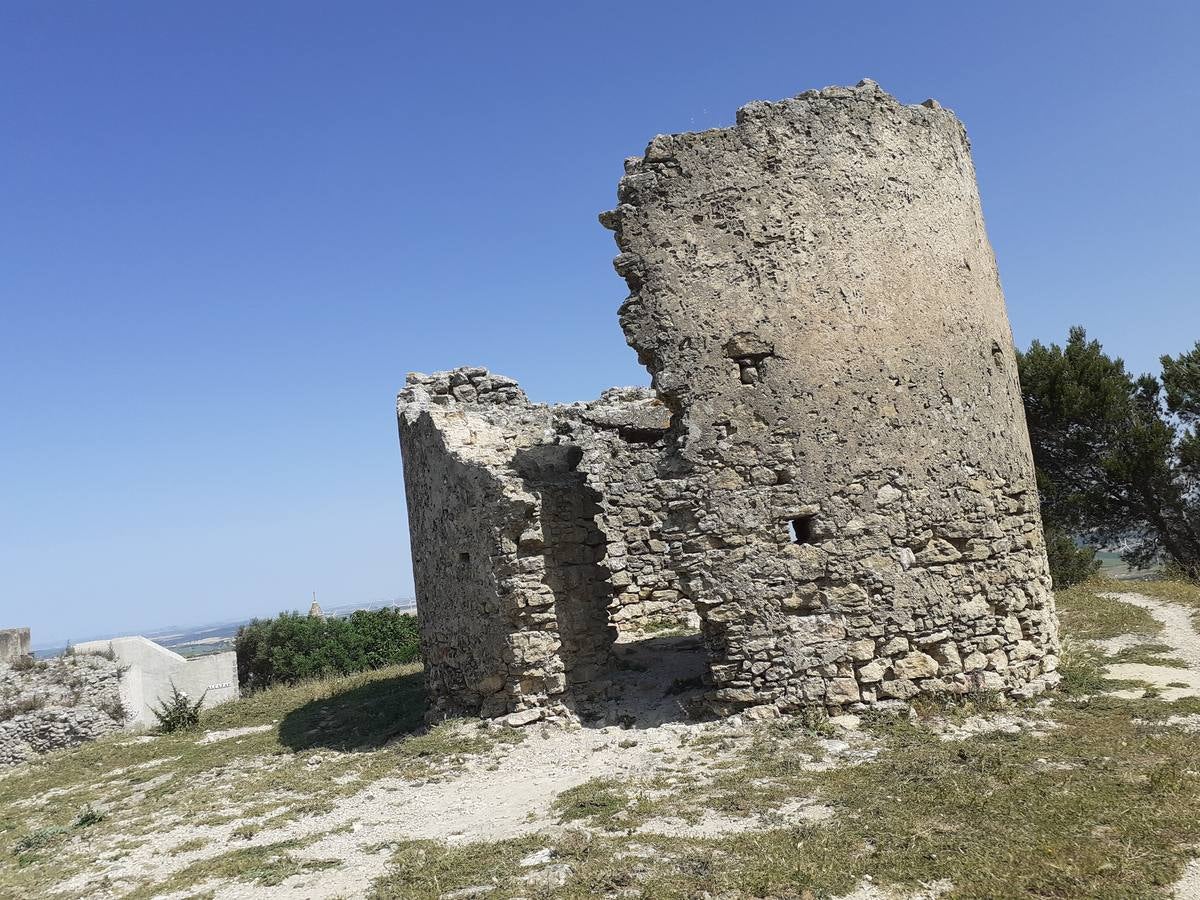 Fotos: Medina Sidonia, en imágenes