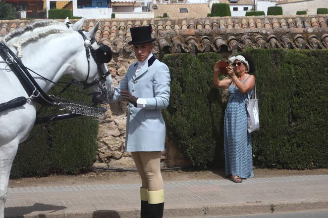 La VIII Exhibición de Carruajes de Tradición de Córdoba, en imágenes