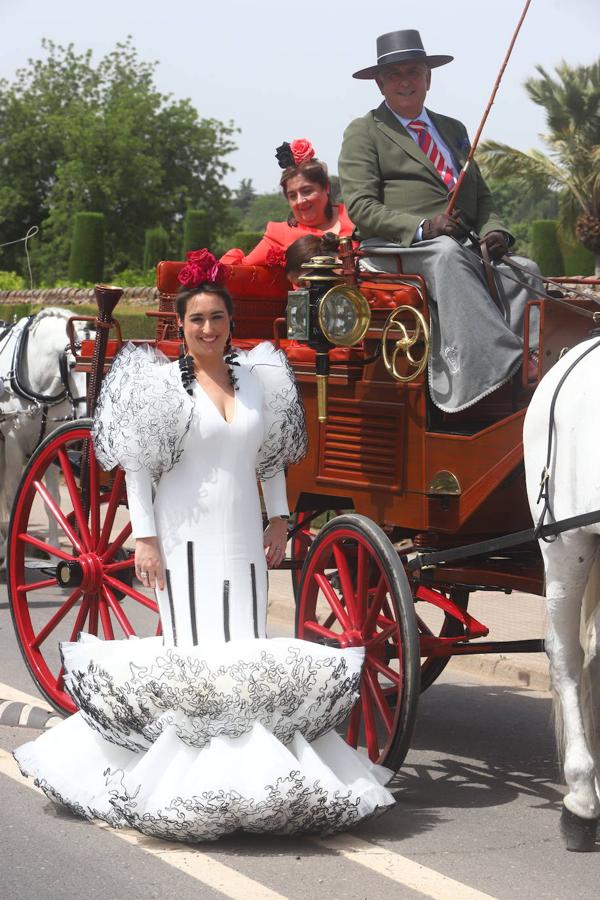 La VIII Exhibición de Carruajes de Tradición de Córdoba, en imágenes