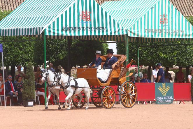 La VIII Exhibición de Carruajes de Tradición de Córdoba, en imágenes