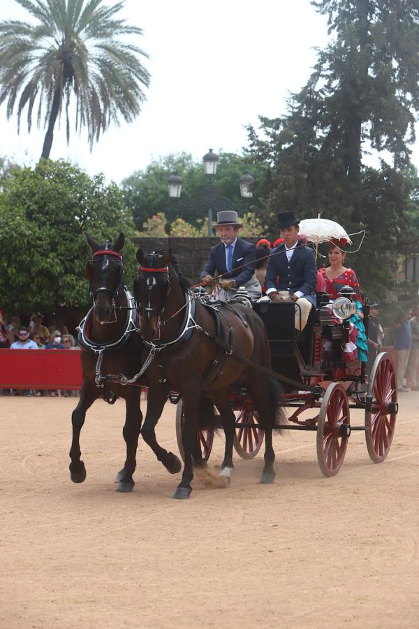 La VIII Exhibición de Carruajes de Tradición de Córdoba, en imágenes