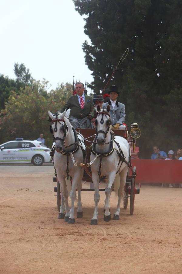 La VIII Exhibición de Carruajes de Tradición de Córdoba, en imágenes