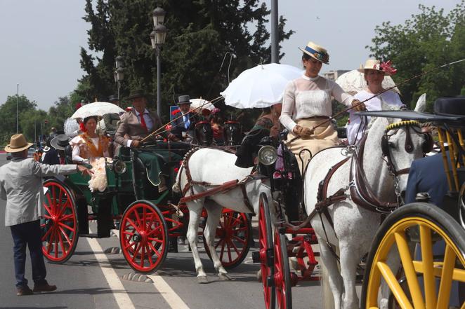 La VIII Exhibición de Carruajes de Tradición de Córdoba, en imágenes