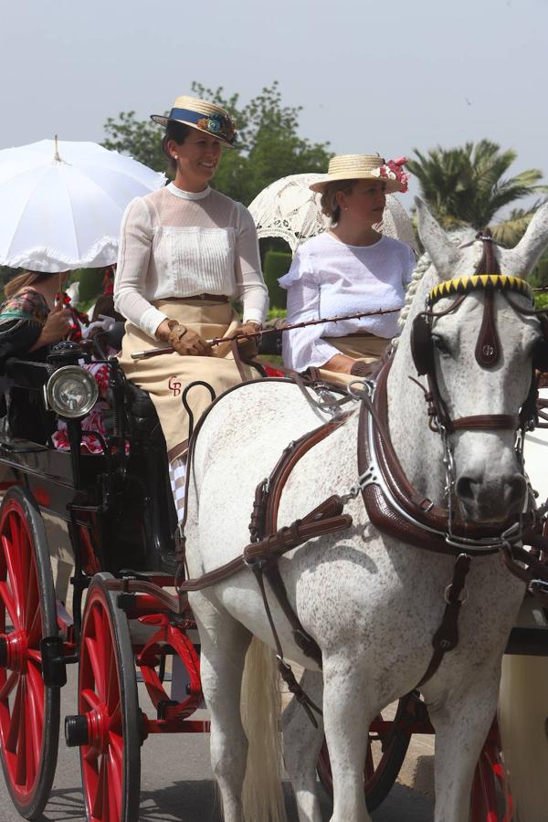 La VIII Exhibición de Carruajes de Tradición de Córdoba, en imágenes