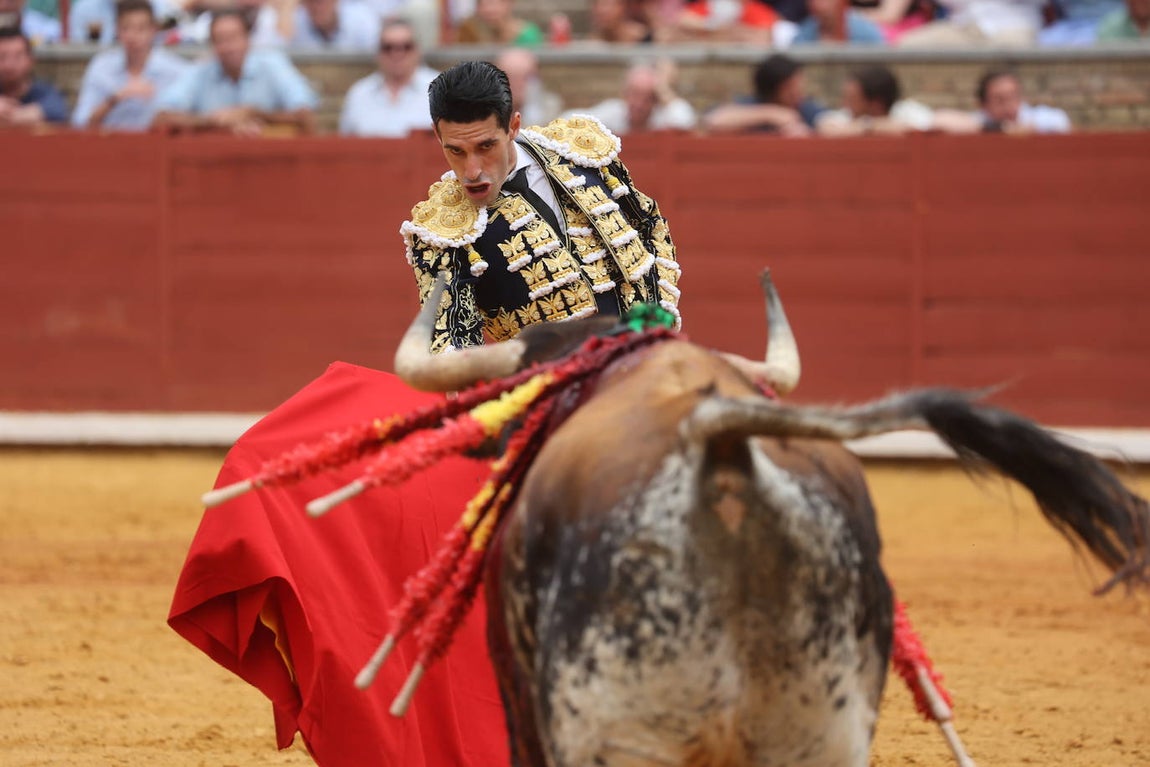El gran triunfo de Roca Rey y Lagartijo en Córdoba, en imágenes