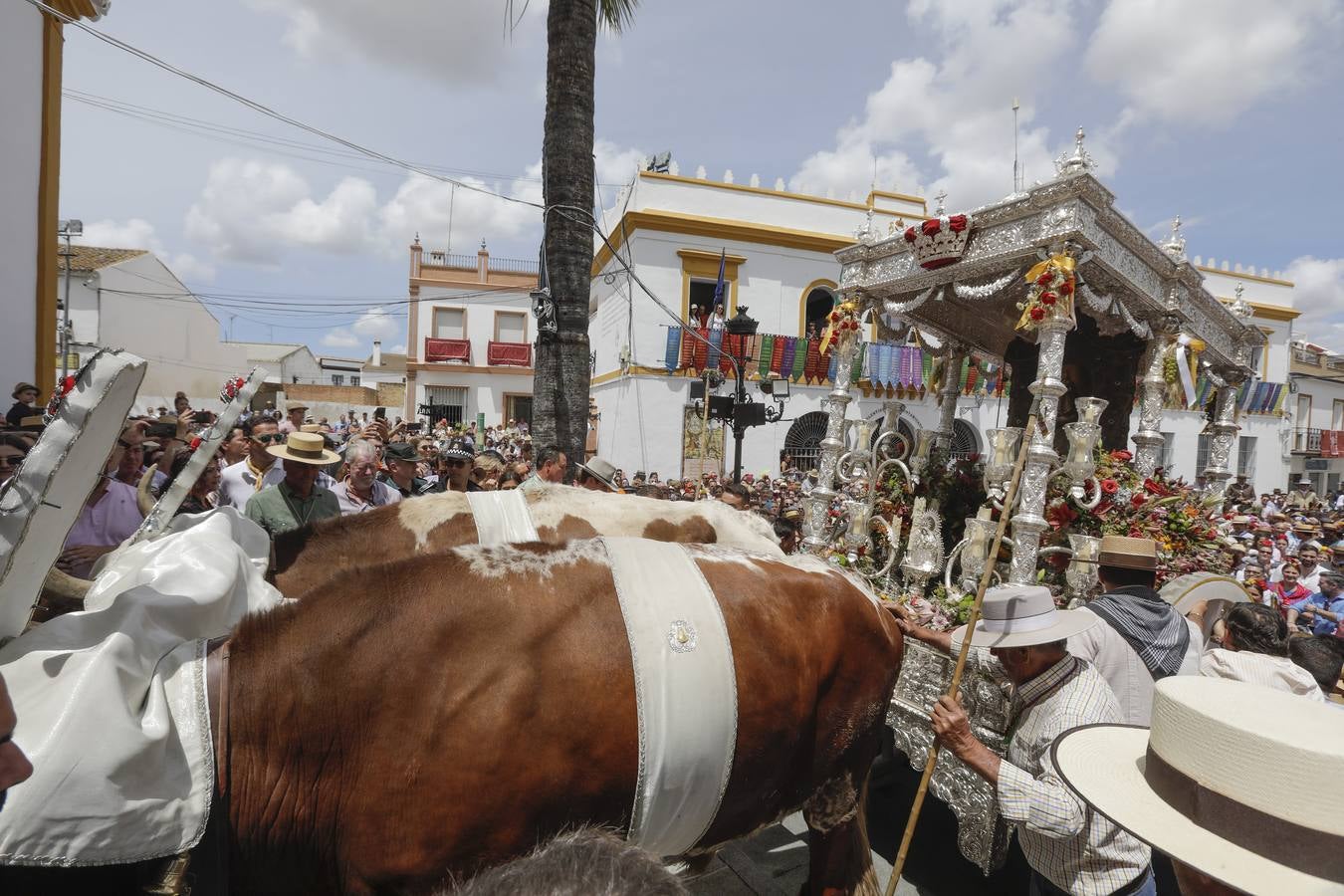 Hermandad de Coria del Río. RAÚL DOBLADO