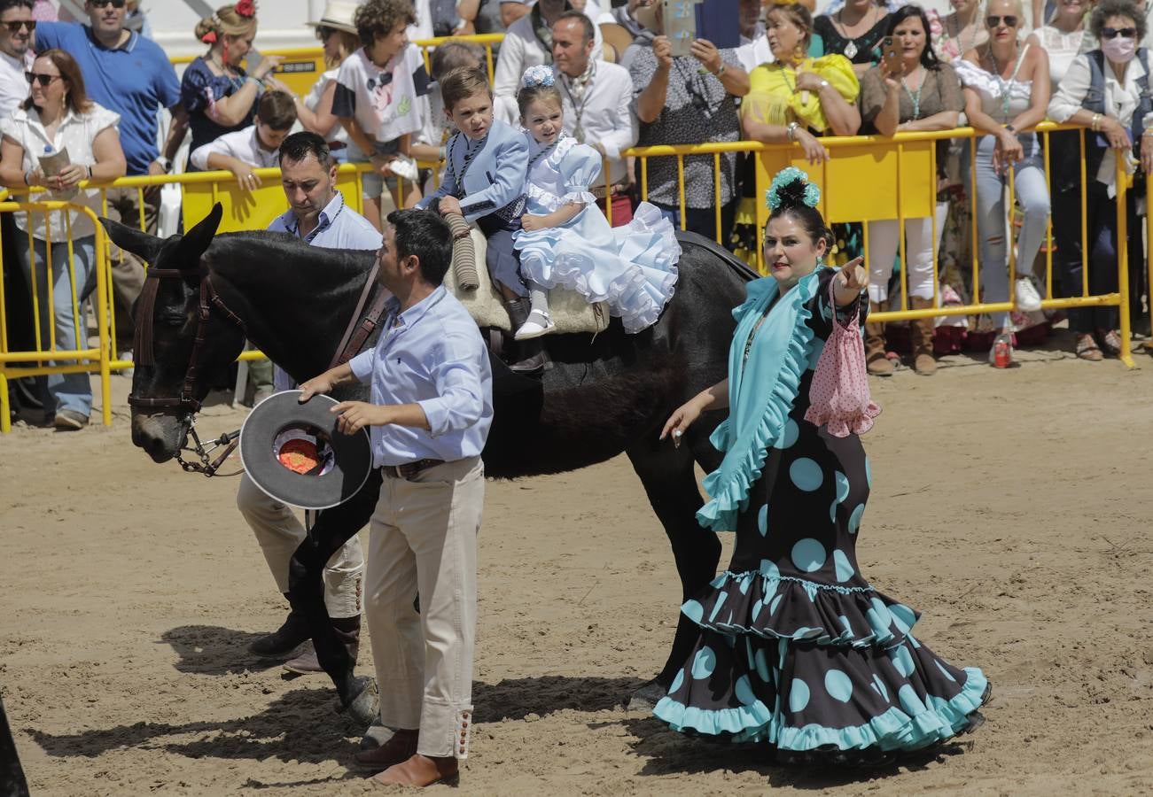 Presentación de las hermandades más antiguas ante la Virgen del Rocío