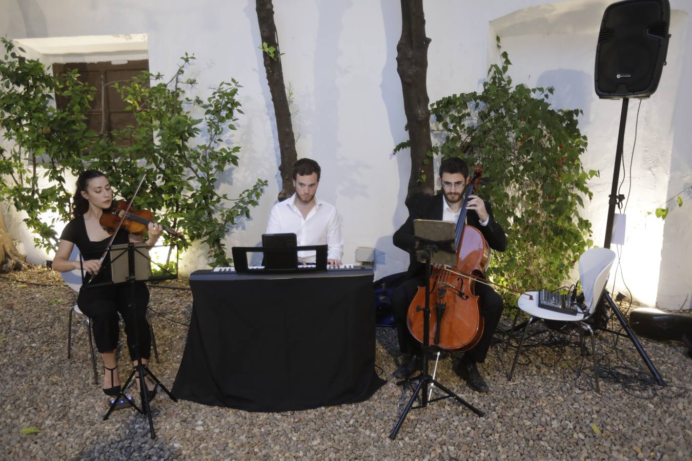 Grupo de músicos actuando en La Galería de ABC