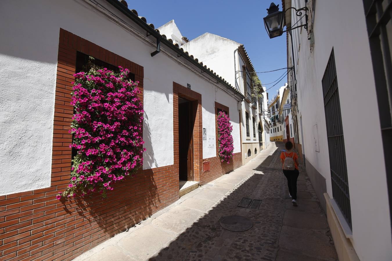 Así es el patio ganador del Premio ABC en Córdoba, en imágenes