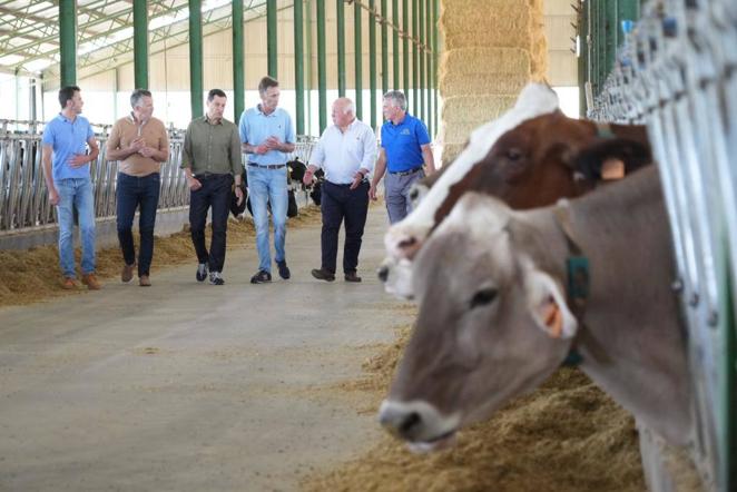 El reencuentro de Juanma Moreno con su vaca &#039;talismán&#039; en Añora, en imágenes