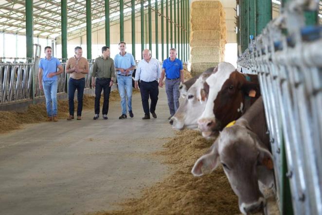 El reencuentro de Juanma Moreno con su vaca &#039;talismán&#039; en Añora, en imágenes