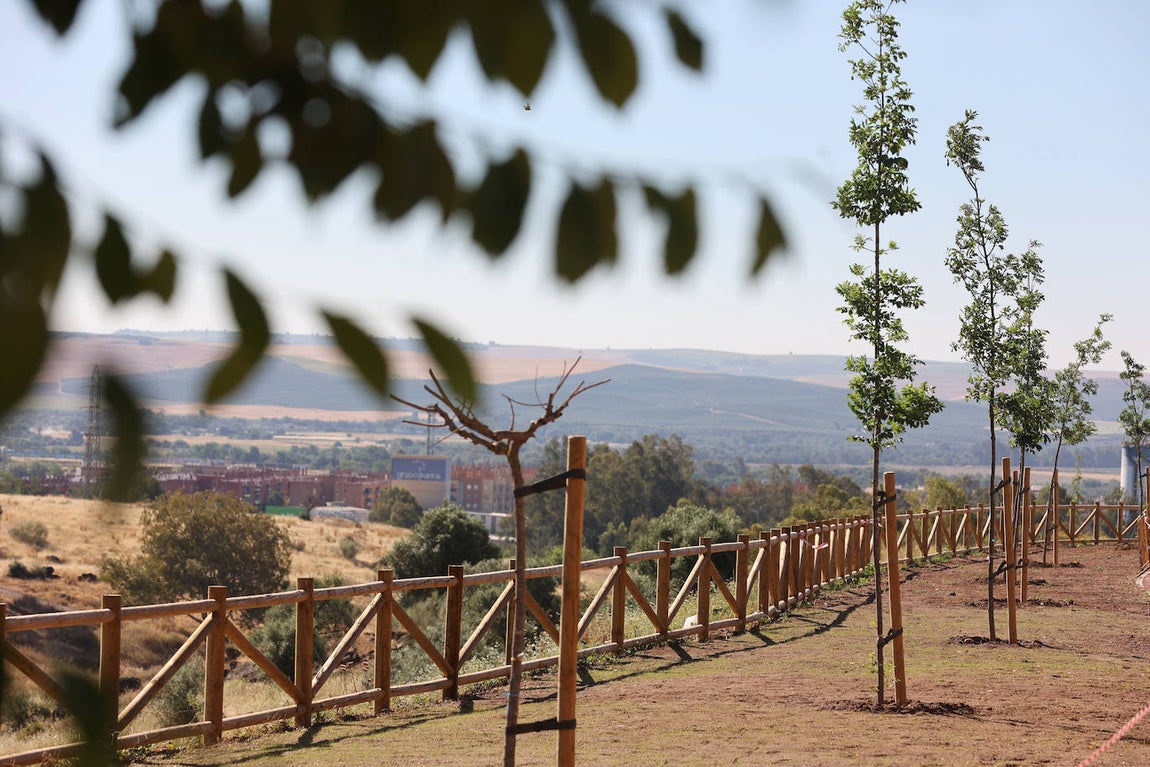 La finalización de la urbanizacion de Mirabueno de Córdoba, en imágenes