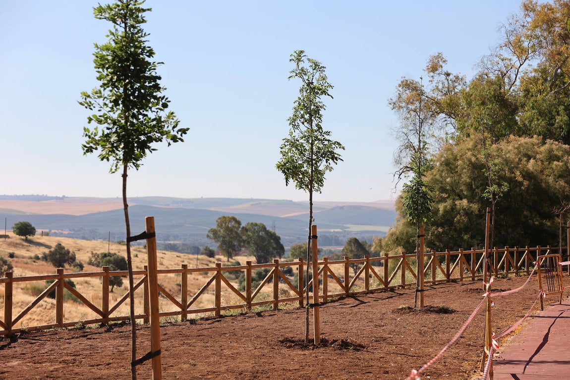 La finalización de la urbanizacion de Mirabueno de Córdoba, en imágenes