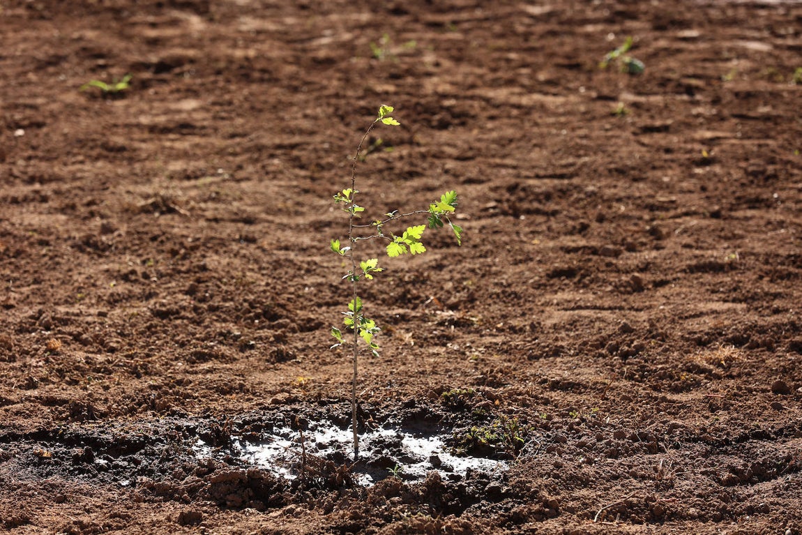 La finalización de la urbanizacion de Mirabueno de Córdoba, en imágenes