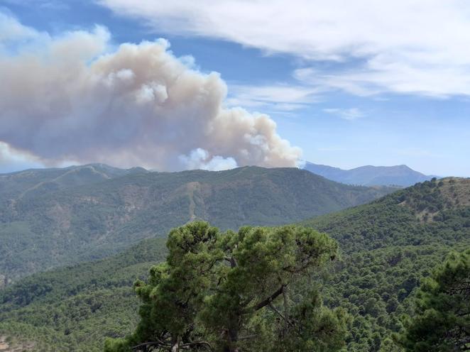 Incendio forestal en Pujerra (Málaga)