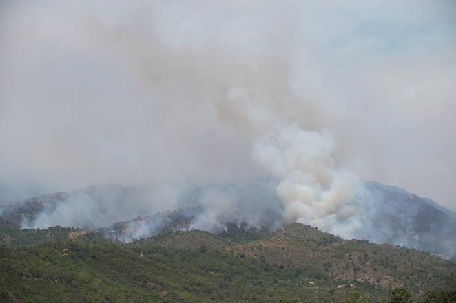 Incendio forestal en Pujerra (Málaga)