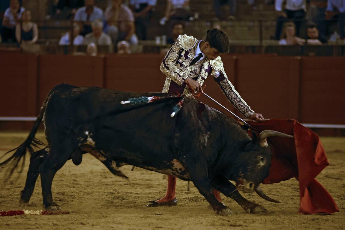 En imágenes, novillada gris en la Maestranza