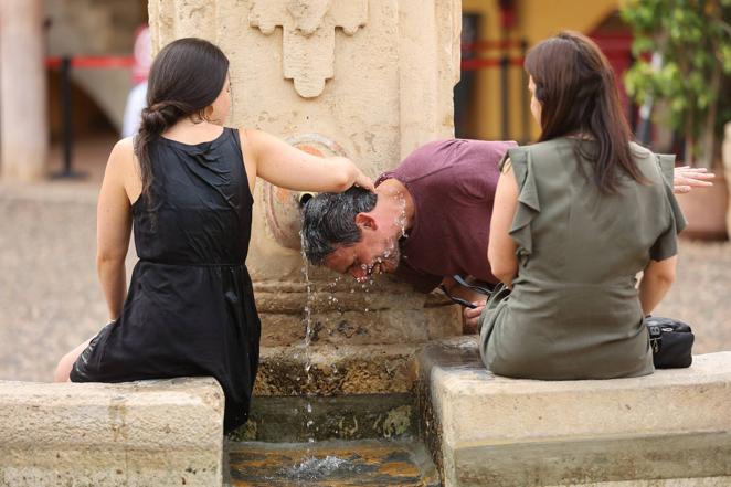 Los estragos de la ola de calor en Córdoba, en imágenes