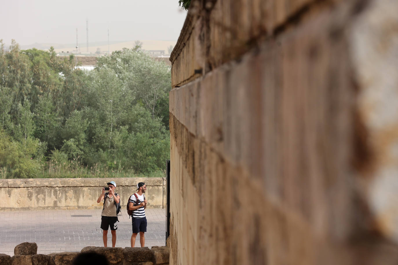 Los estragos de la ola de calor en Córdoba, en imágenes