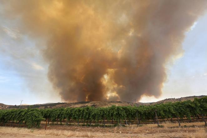 Un incendio pavoroso obliga a desalojar el parque Puy de Fou