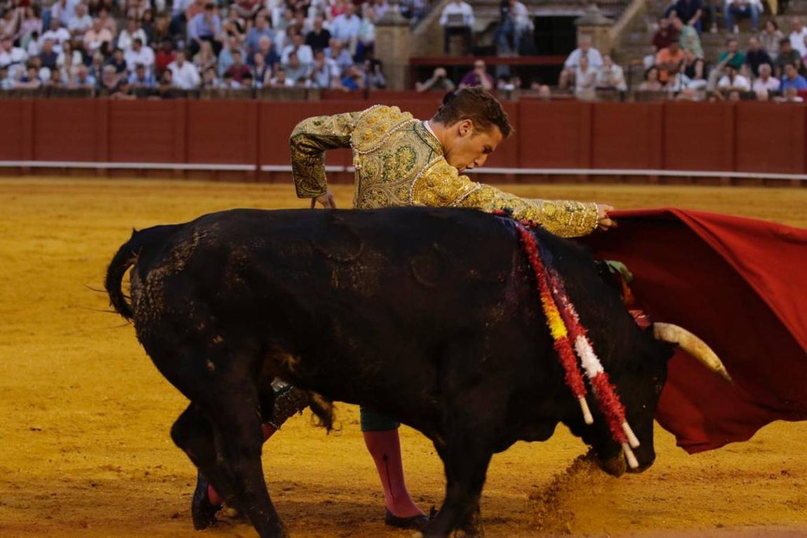 En imágenes, la novillada protagonizada por Emilio Silvera, Calerito y Daniel de la Fuente