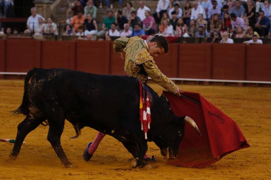 En imágenes, la novillada protagonizada por Emilio Silvera, Calerito y Daniel de la Fuente
