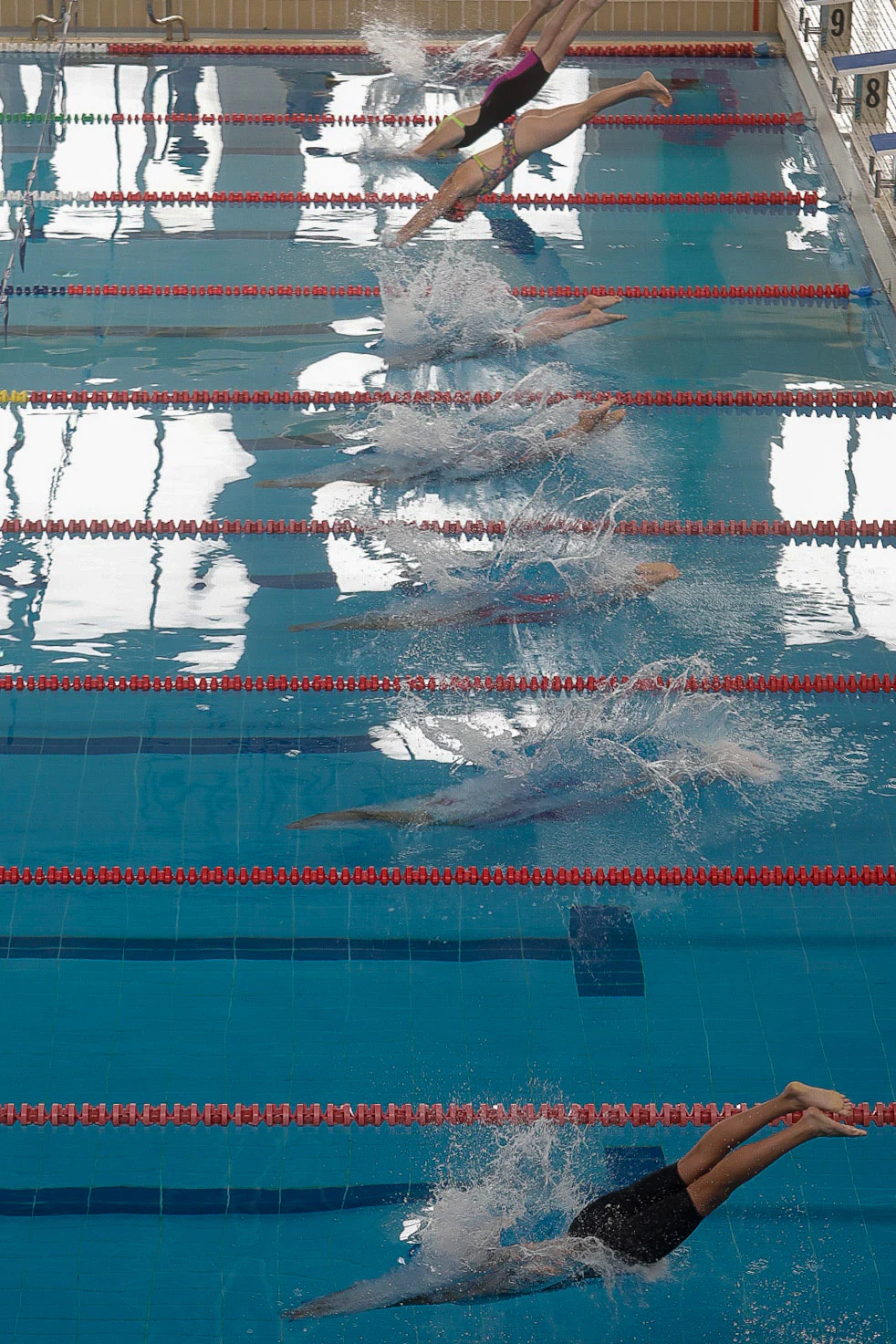 GALERÍA: Las fotos del VII Trofeo Ciudad de Cádiz de natación