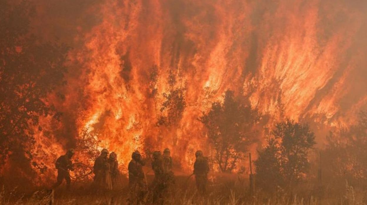 Las duras imágenes del incendio de Zamora