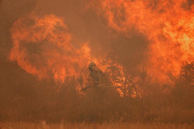 Las duras imágenes del incendio de Zamora