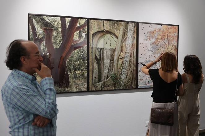 La exposición de fotografía de Jorge Fuembuena en Córdoba, en imágenes