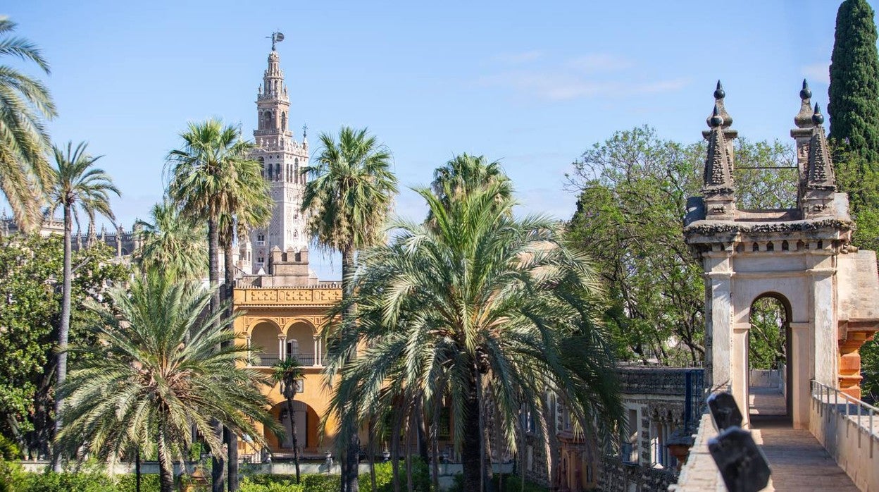 Las imágenes y perspectivas que se ven desde los nuevos espacios visitables del Alcázar