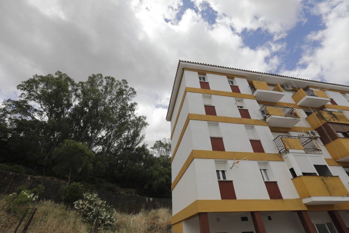 Fotos: Alcalá de los Gazules, un paraíso natural