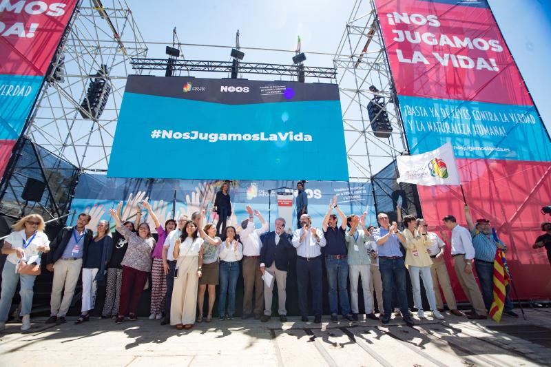 Al finalizar la manifestación, se ha habilitado un escenario para los discursos. 