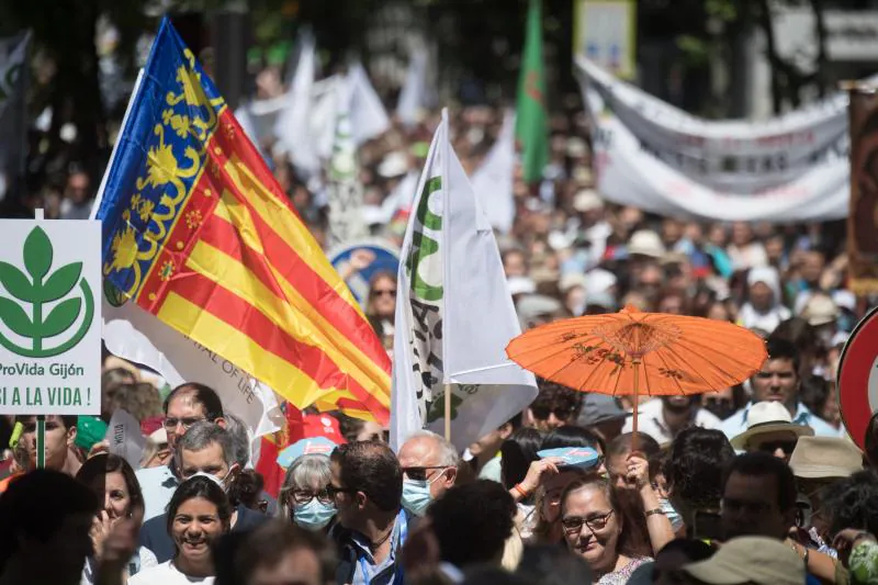 Los manifestantes han llegado desde todos los puntos del territorio español. 