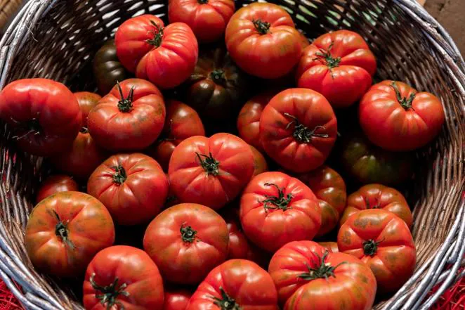 Tomate. Los tomates son uno de los alimentos con menos calorías por cada 100 gramos de producto. Aportan 18 calorías.