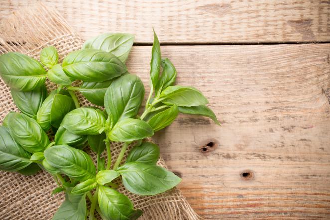 Albahaca. La albahaca es un aderezo perfecto ya que mejora las recetas sin necesidad de sal o azúcares añadidos. Además, es rica en vitamina C, con 61,2 mg por cada 100 gramos de este alimento.