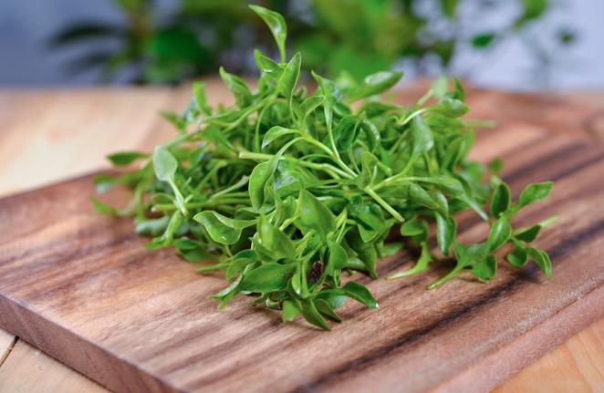 Berro. Si hay una vitamina que resulta por encima de otra en los <a href="https://www.abc.es/bienestar/alimentacion/abci-berros-202103040929_noticia.html" target="_blank">berros</a>, esa es sin duda la vitamina A, con 483,33 ug, pero su aporte en vitamina C también es importante: 60 mg por cada 100 gramos, tal como indican los expertos de la Bedca.
