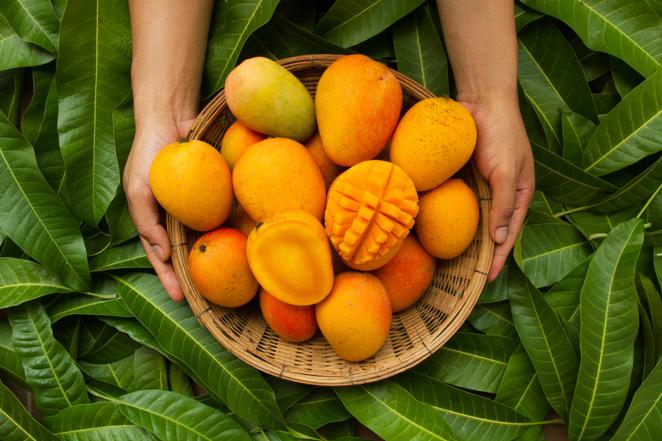 Mango. ¿Sabías que con 200 gramos de pulpa casi se cubren los requerimientos mínimos diarios de vitamina A y C? Concretamente en esta última vitamina aporta 44 mg por cada 100 gramos, tal como dicen desde la Bedca. También con extractos de la cáscara del <a href="https://www.abc.es/bienestar/alimentacion/abci-mango-202007300357_noticia.html" target="_blank">mango </a>se obtienen componentes activos que son útiles para la protección de la piel.