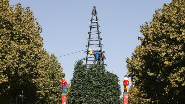 Montaje del árbol de Navidad del Bulevar