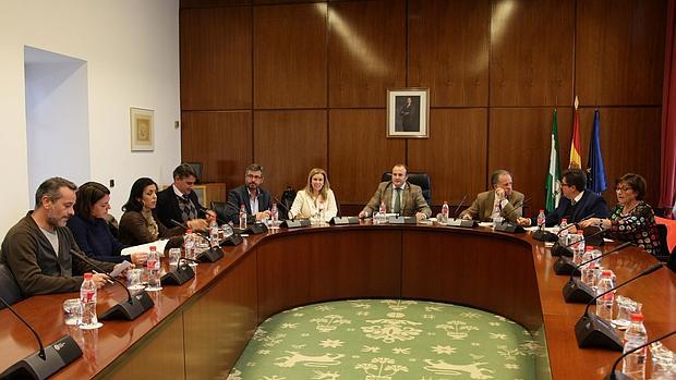 Los miembros de la comisión de investigación durante la reunión que mantuvieron ayer en el Parlamento