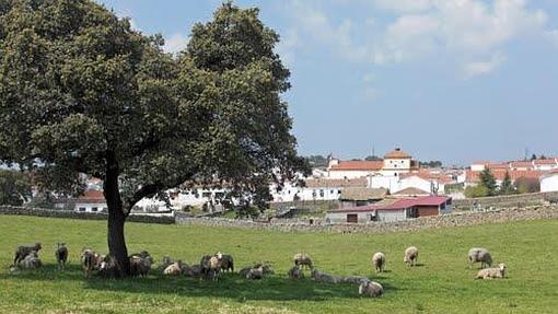 Entorno de la localidad de Cardeña