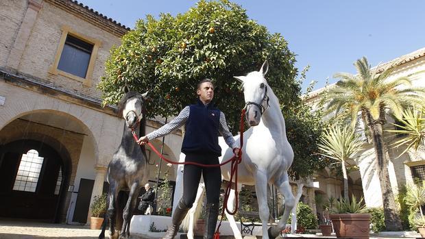 Dos caballos de pura raza en Caballerizas Reales