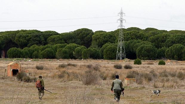 Cazadores en una tirada de codornices