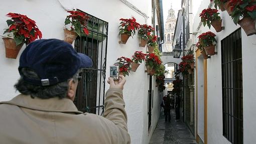 Un turista inmortaliza la Calleja de las Flores