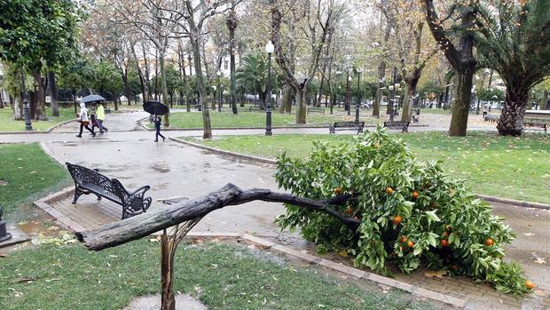 Efecto de un temporal anterior en la capital cordobesa