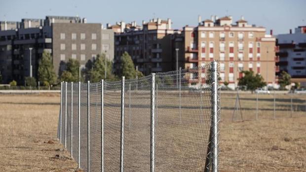 Parcela del canal en la que se iba a construir la Ciudad Deportiva