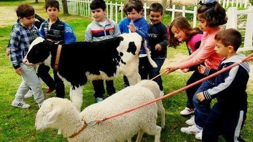 Niños practicando pastoreo en la granja