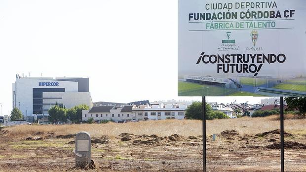 Terrenos donde se iba a construir la Ciudad Deportiva