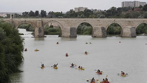 Piragüistas se ejercitan en el río