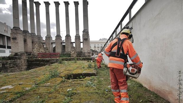 Trabajadores de Sadeco realizan los trabajos de adecentamiento del Templo Romano